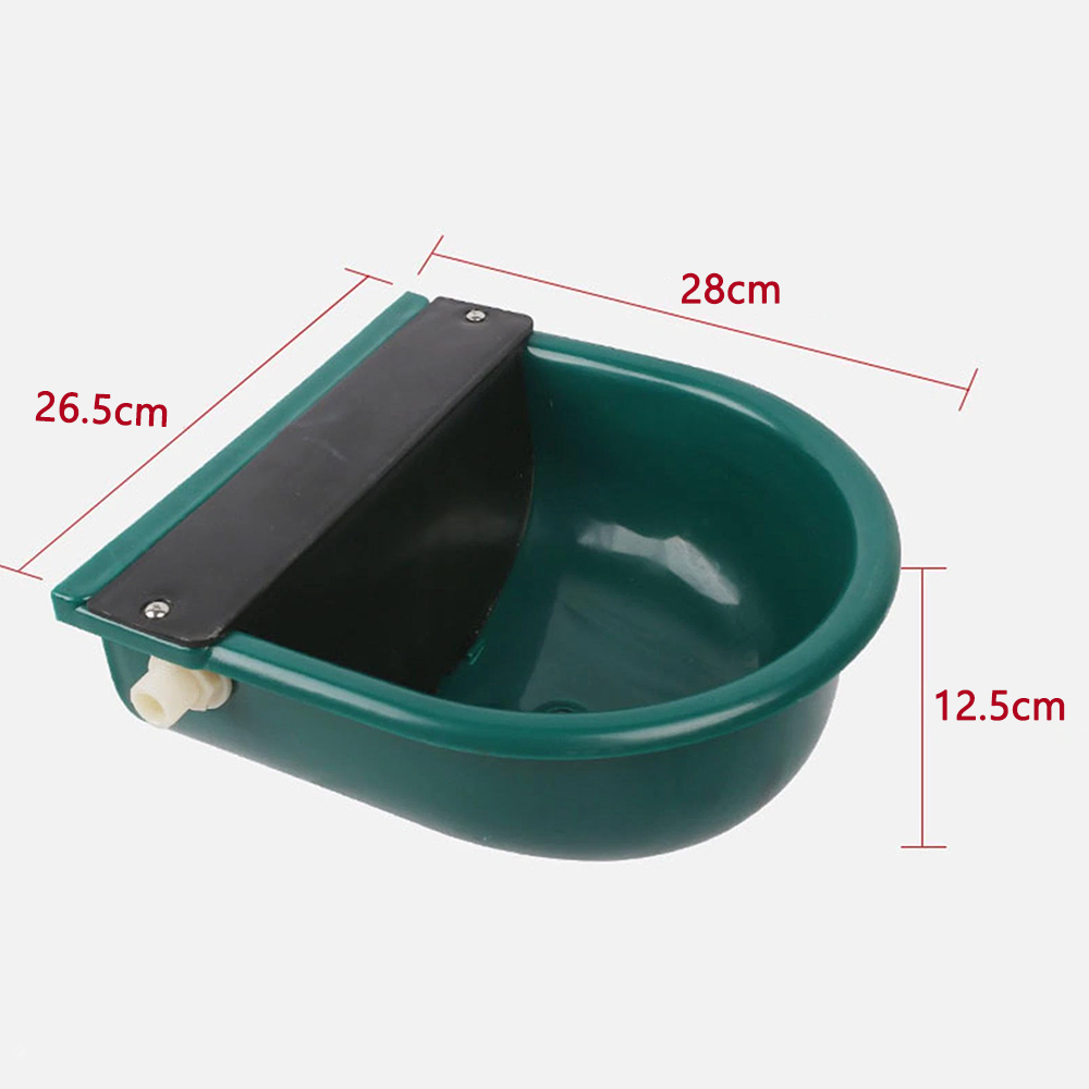 Image 6