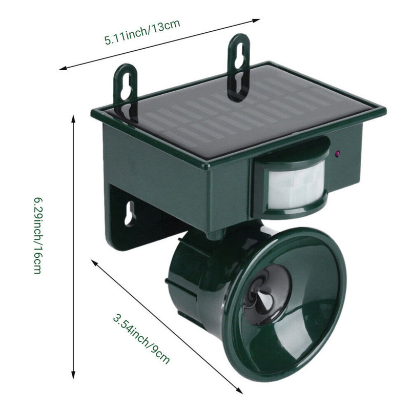 Image 8