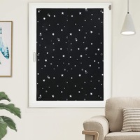 2x Blackout Blind Skylight Window Shades with Suction Cups Portable Thermal Insulated Adjustable Free for Travel Baby Nursery Car Bedroom Sleep Better Guaranteed Darkening Curtain Light