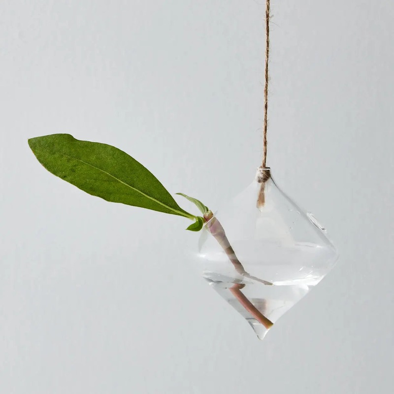 Buy Diamond Hanging Propagation Vase MyDeal