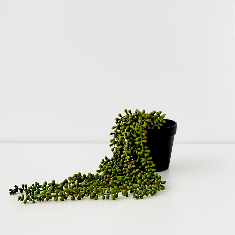 Buy Faux String of Pearls MyDeal