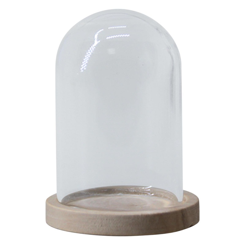 Buy 6 x GLASS DISPLAY DOME CLOCHES w/ WOODEN BASE 18CM Home Decor Candle Flower Gift Craft Ideas