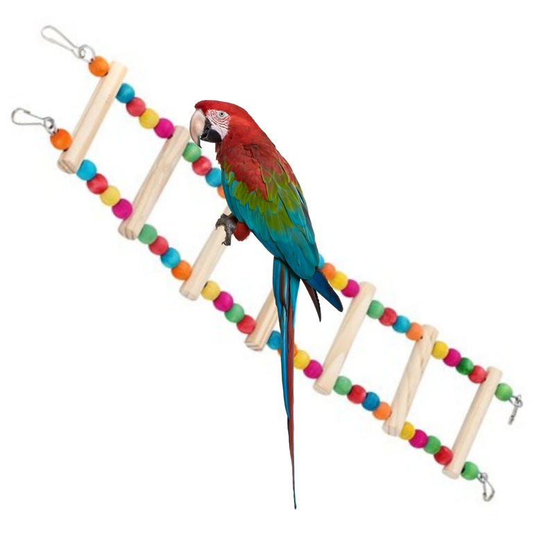 Buy 6 x PARROT WOODEN LADDER TOY 54x10cm Bird Cage Hanging Toy Wood