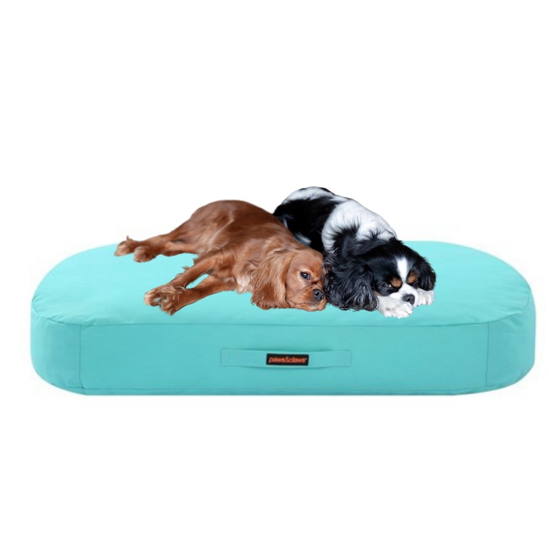 Buy BIG PET BED LARGE AQUA 110X80X20CM Puppy Side handle Durable Super