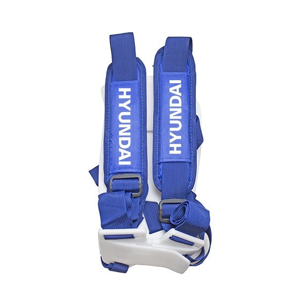 Image 21