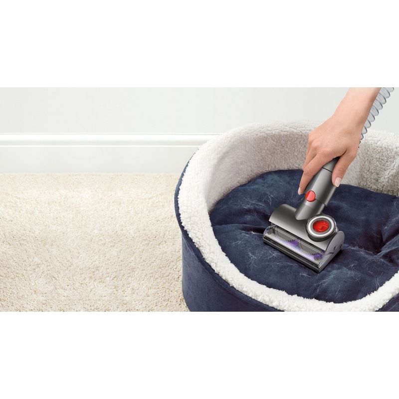 Buy Dyson Big Ball Animal+ Barrel Vacuum MyDeal