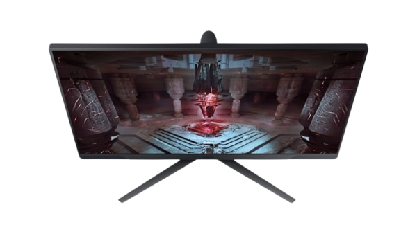 Image 5