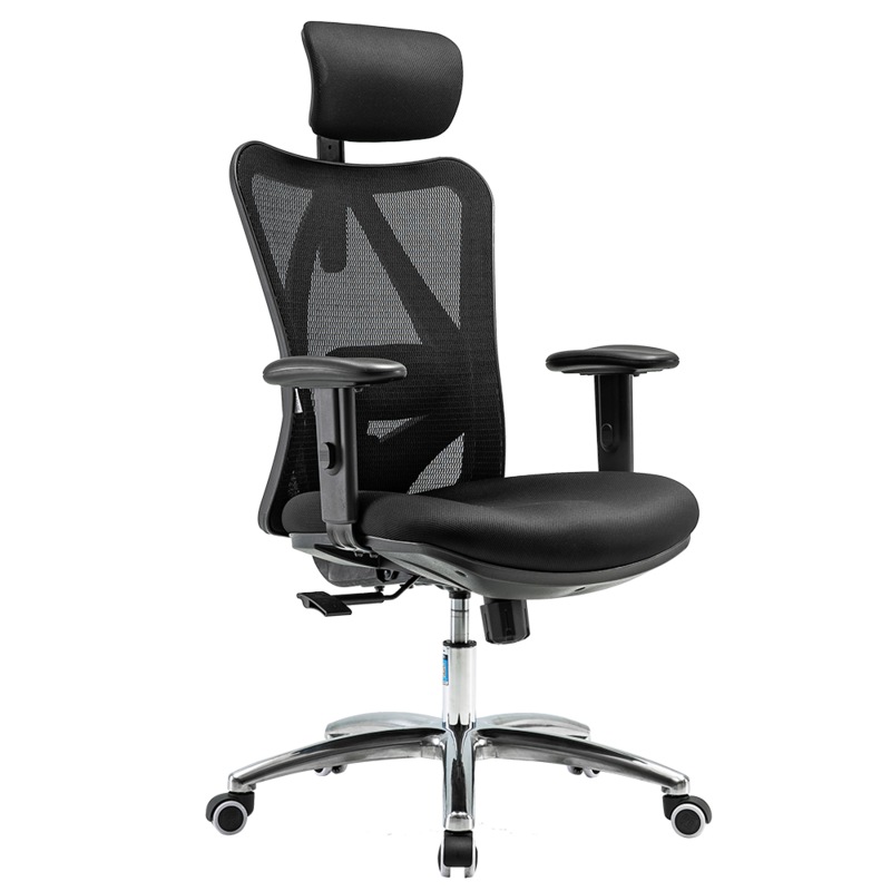 Buy SIHOO M18 Ergonomic Home Office Chair Black MyDeal