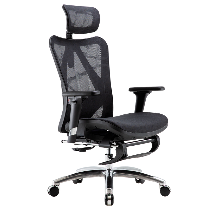 Sihoo M57 Ergonomic Office Chair, Computer Chair Desk Chair High Back Chair
