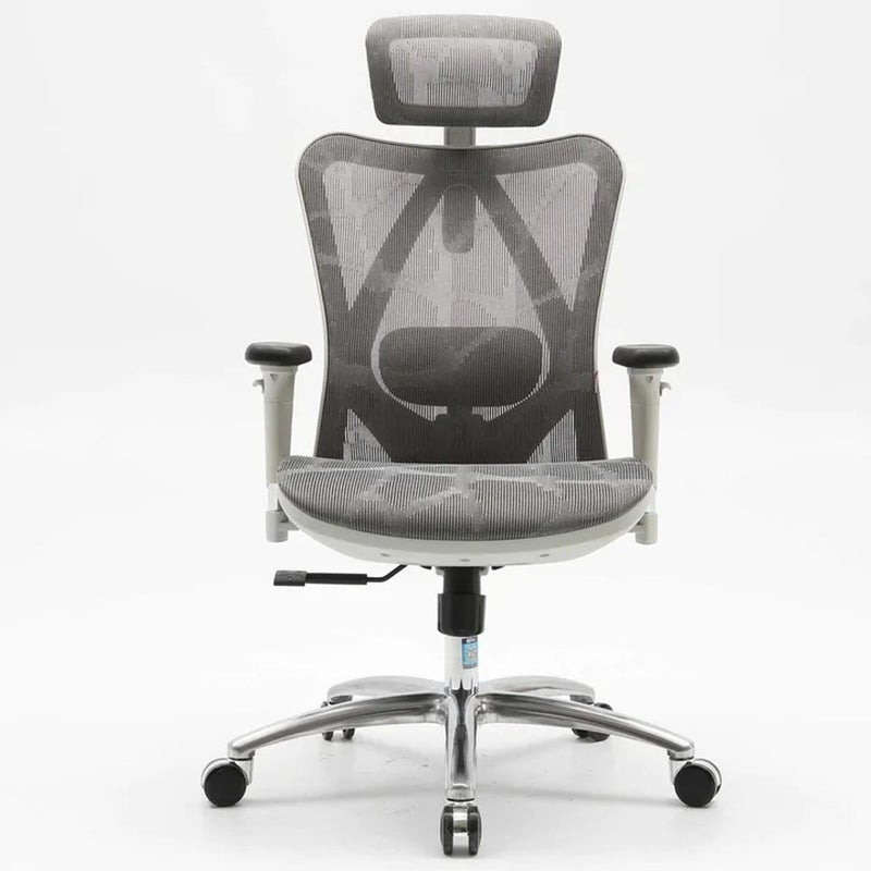 Buy SIHOO M57 Ergonomic Office Chair with Premium Mesh Seat, Headrest,  Armrest and Backrest Lumbar Support - Grey - MyDeal