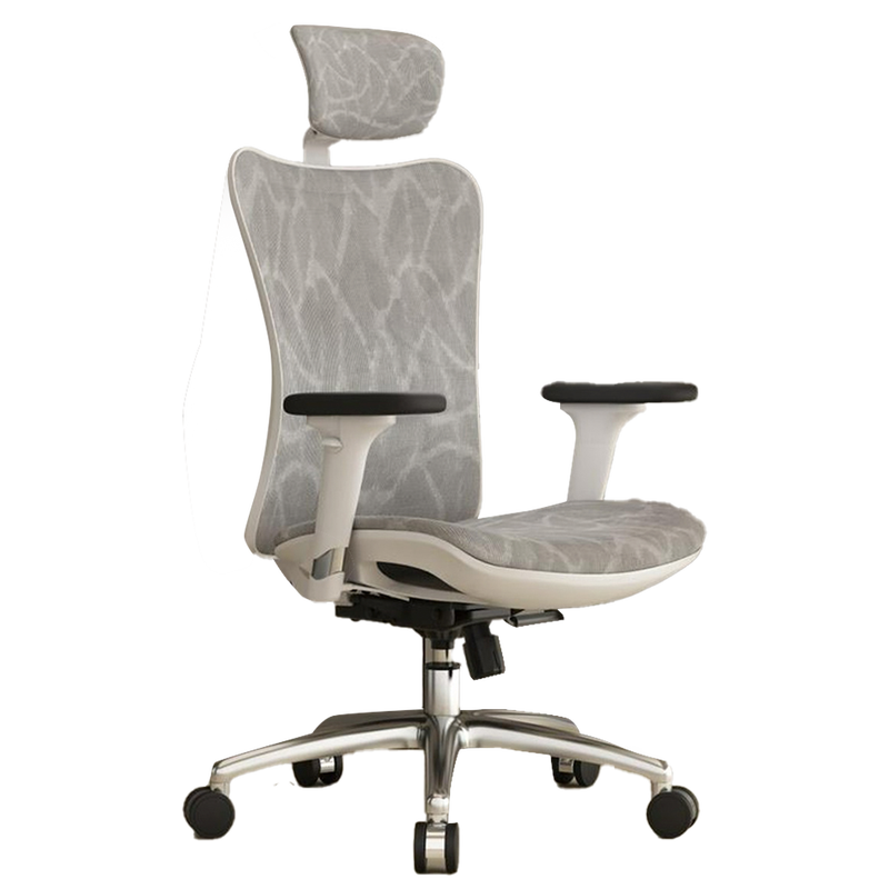 Buy SIHOO M57 Ergonomic Office Chair with Premium Mesh Seat, Headrest,  Armrest and Backrest Lumbar Support - Grey - MyDeal