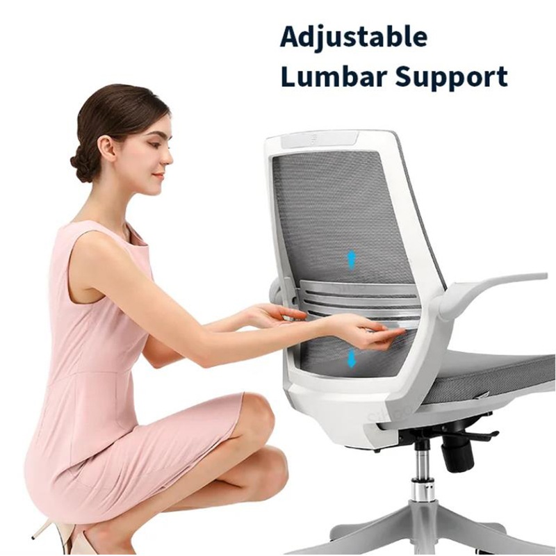 Buy SIHOO M59 Foam Seat Ergonomic Office Chair with Adjustable Lumbar