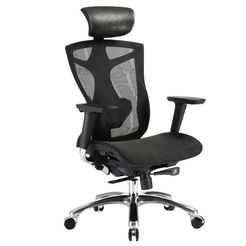 Buy SIHOO V1 Ergonomics Executive Office Chair with Premium Mesh Seat Headrest Armrest and
