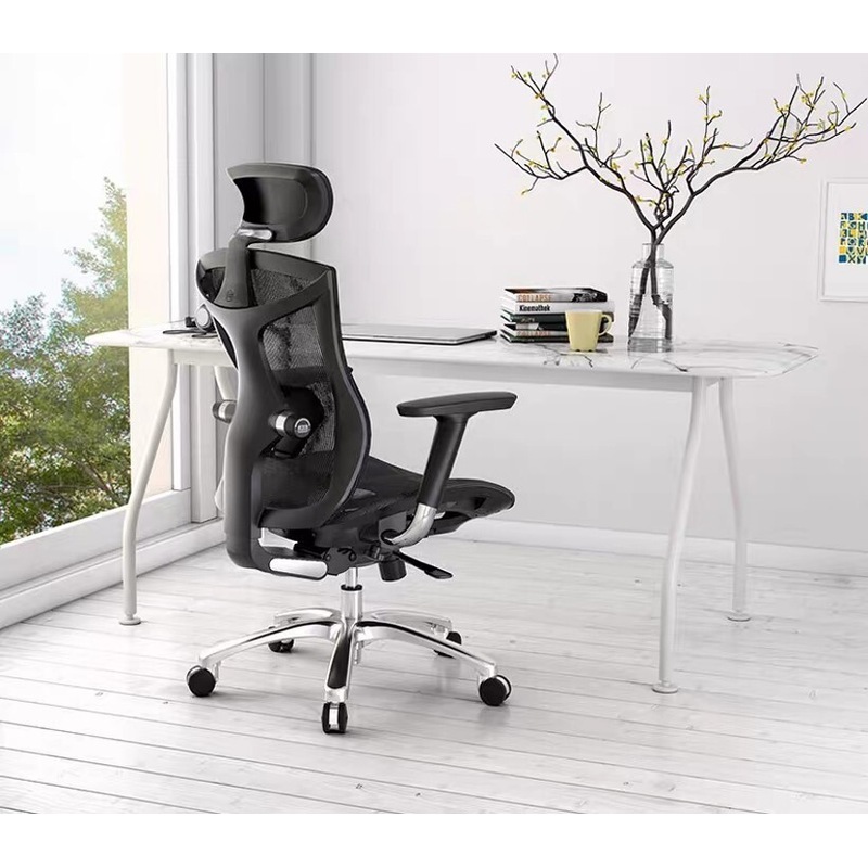 Buy SIHOO V1 Ergonomics Executive Office Chair with Premium Mesh Seat