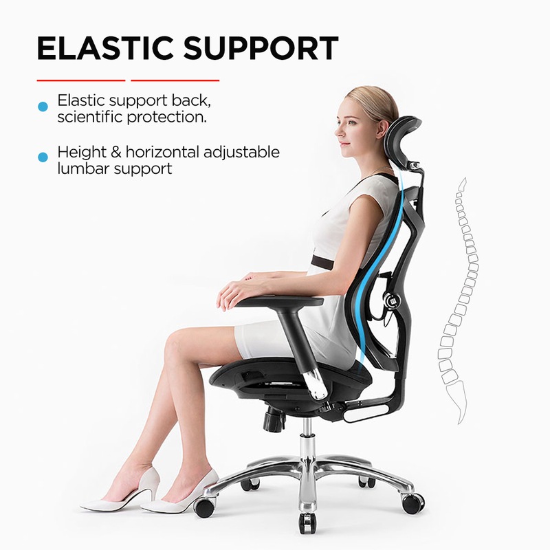 Buy SIHOO V1 Ergonomics Executive Office Chair with Premium Mesh Seat ...