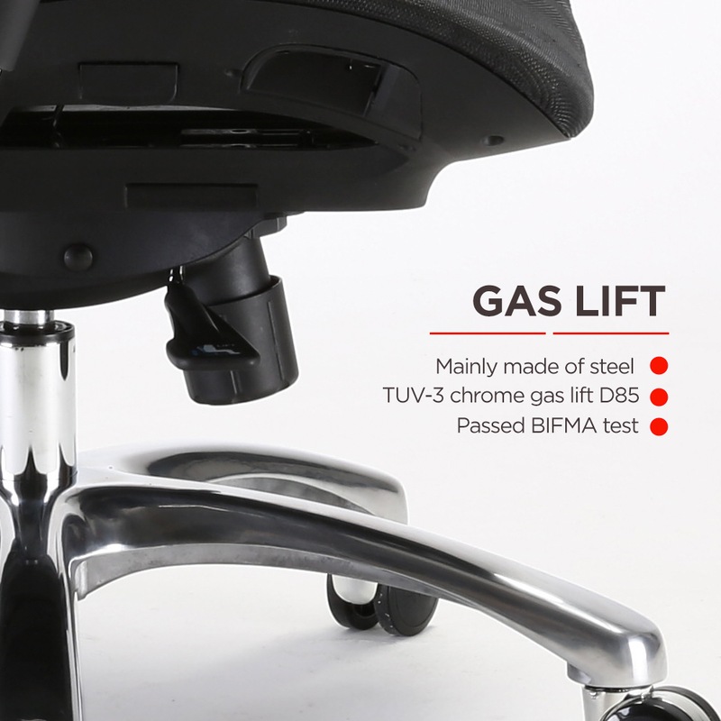 Buy SIHOO V1 Ergonomics Executive Office Chair with Premium Mesh Seat