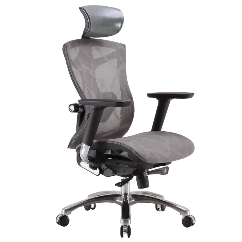 Buy SIHOO V1 Ergonomics Executive Office Chair with Premium Mesh Seat