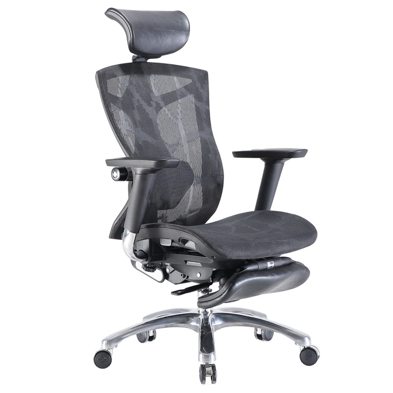 Buy SIHOO V1 Ergonomics Executive Office Chair with Premium Mesh Seat