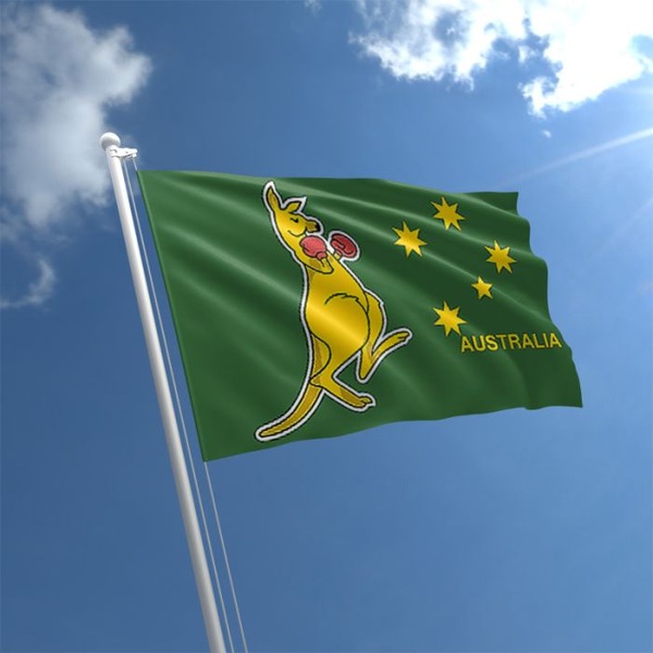 Image 3