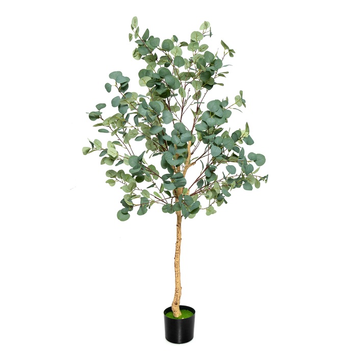 Buy Artificial Plants & Flowers Online in Australia MyDeal