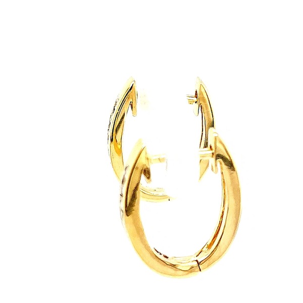 Image 19