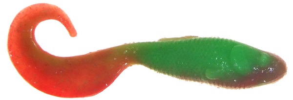Image 11