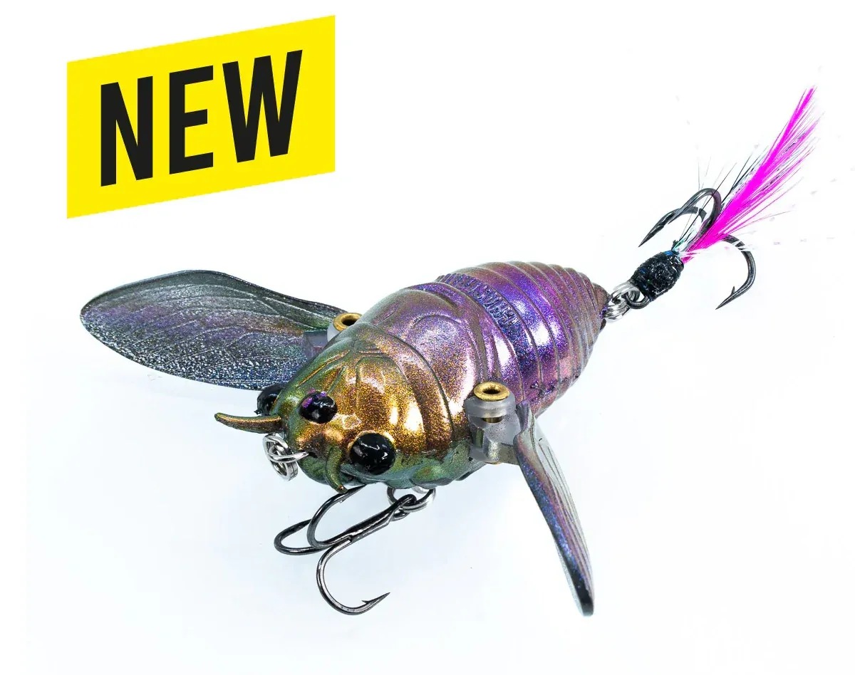 Leurre Flottant Chasebaits Ripple Cicada - 43 Mm - 6g - Couleur 10 - Imitation Insecte