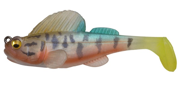 Image 1