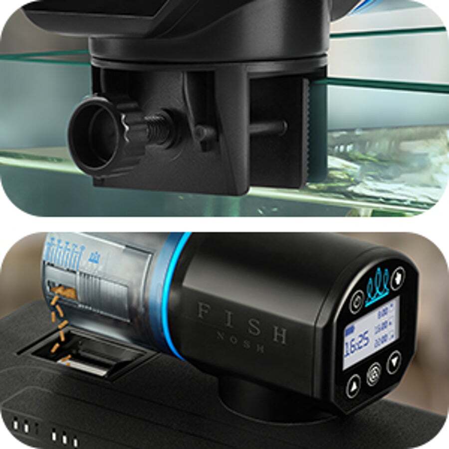 Koi Food Boxtech Aquarium Tank Timer Fish Feeder Two