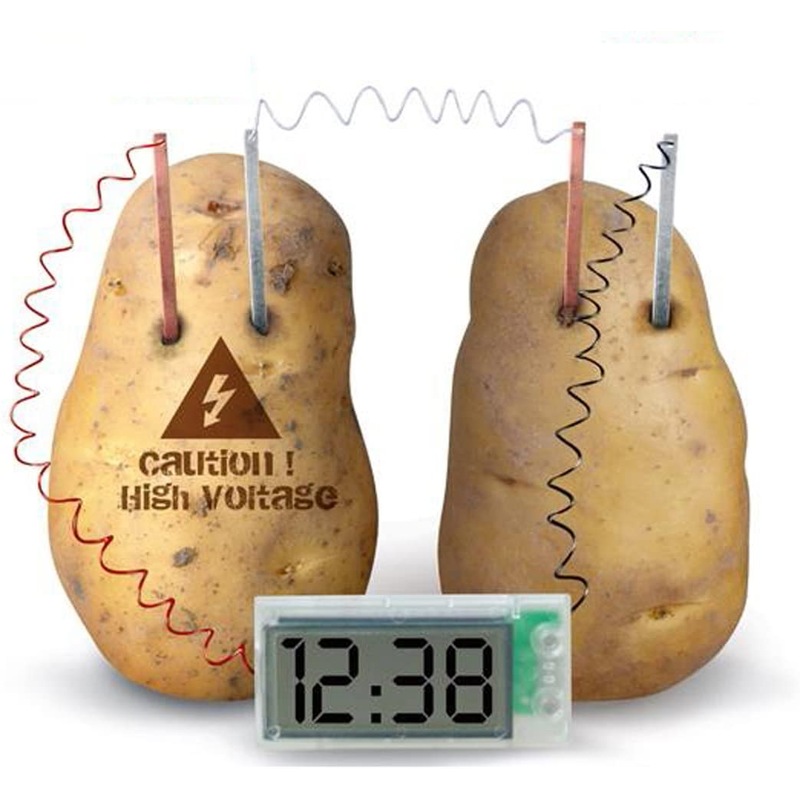 Green Science Potato Clock Green Science Project Experiment Kit with