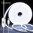 Buy Liuyang Touch Control LED Neon Lights Strip, USB Powered Dimmable ...