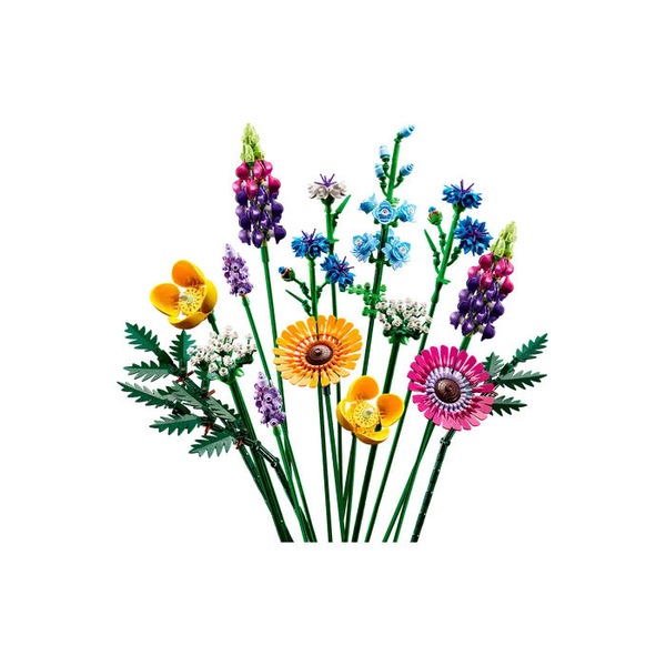 Image 14