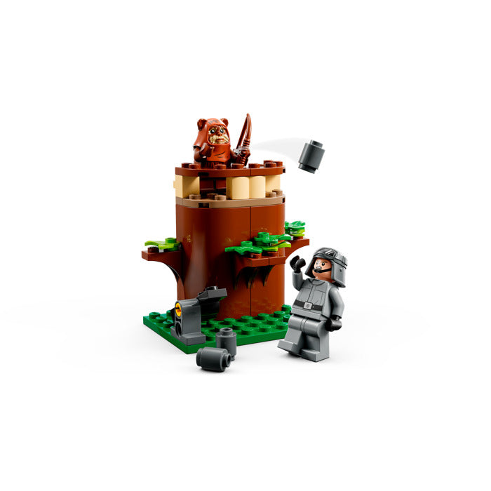 Image 5