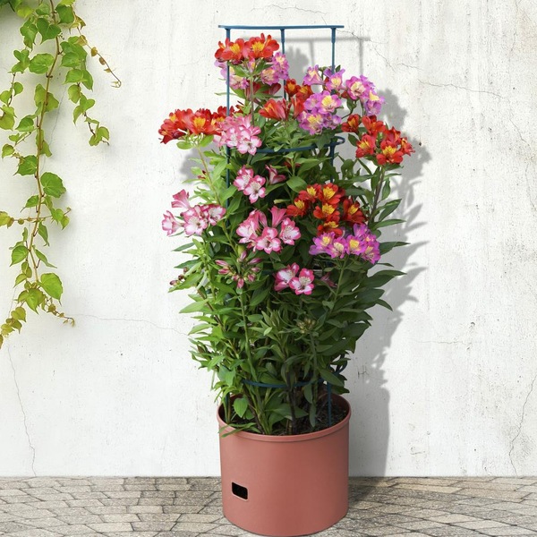 Image 11