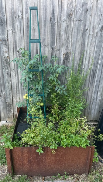 Image 7