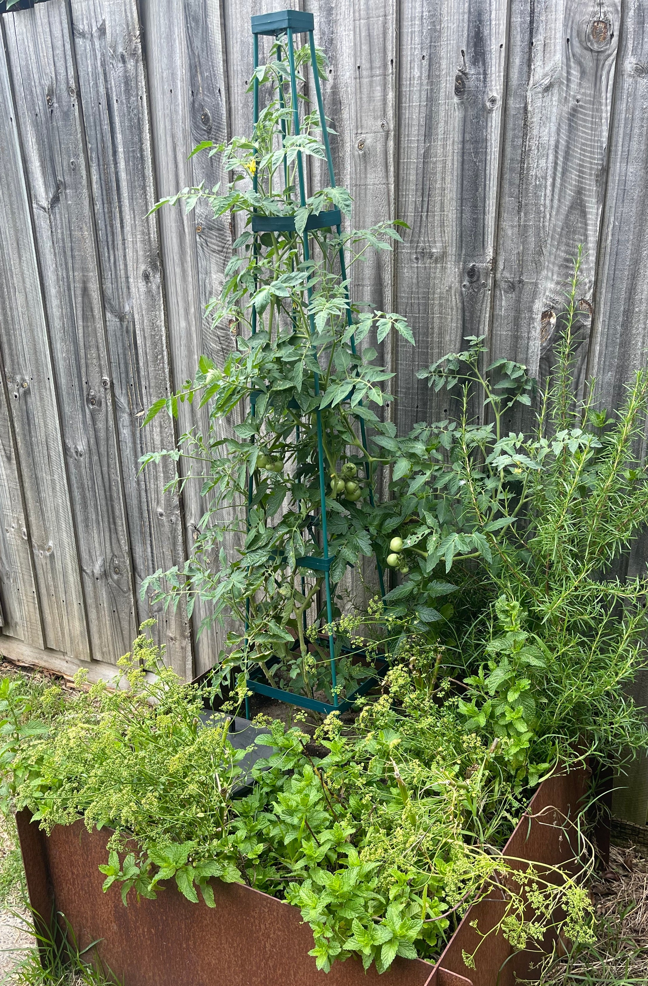 Image 5