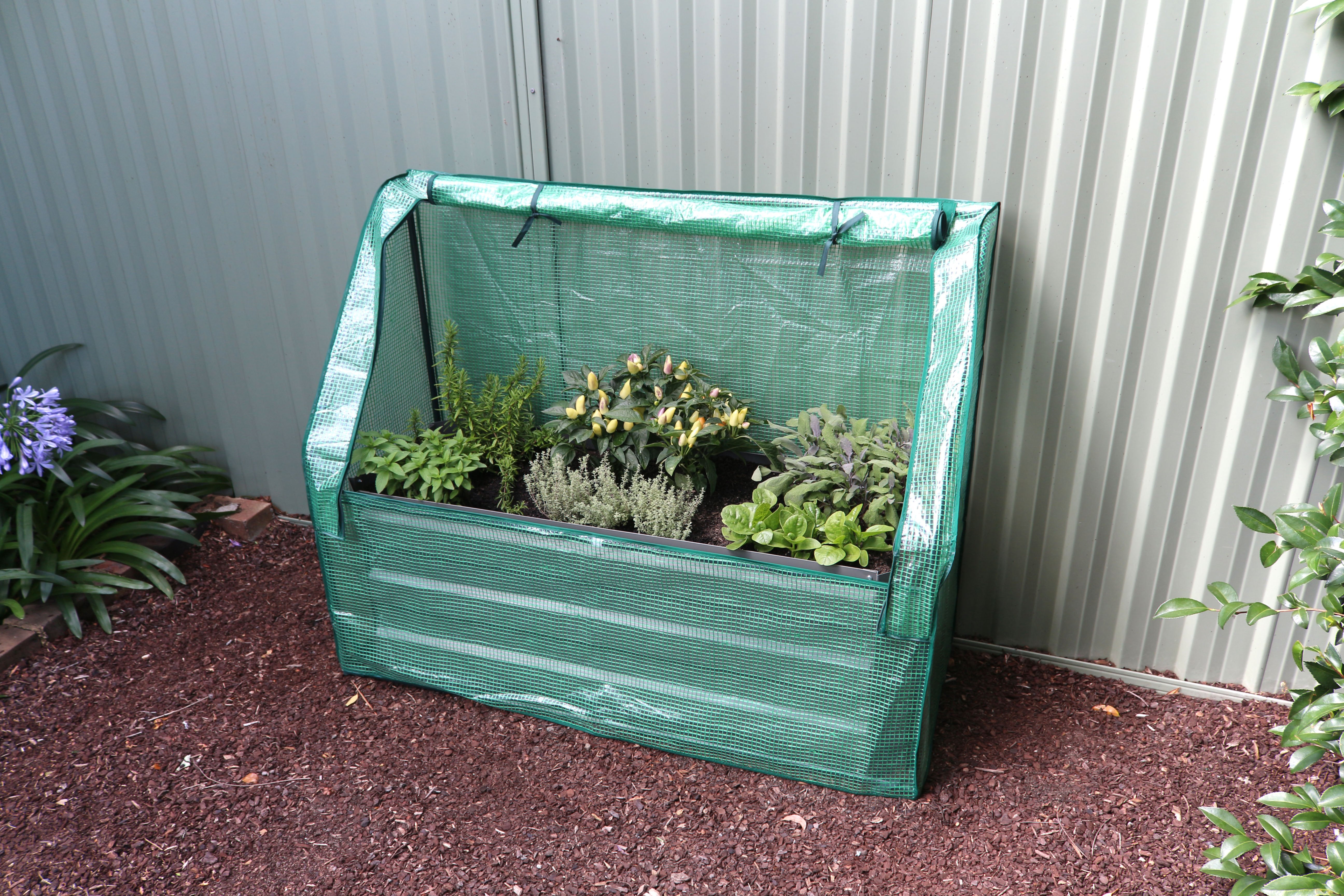 Image 3