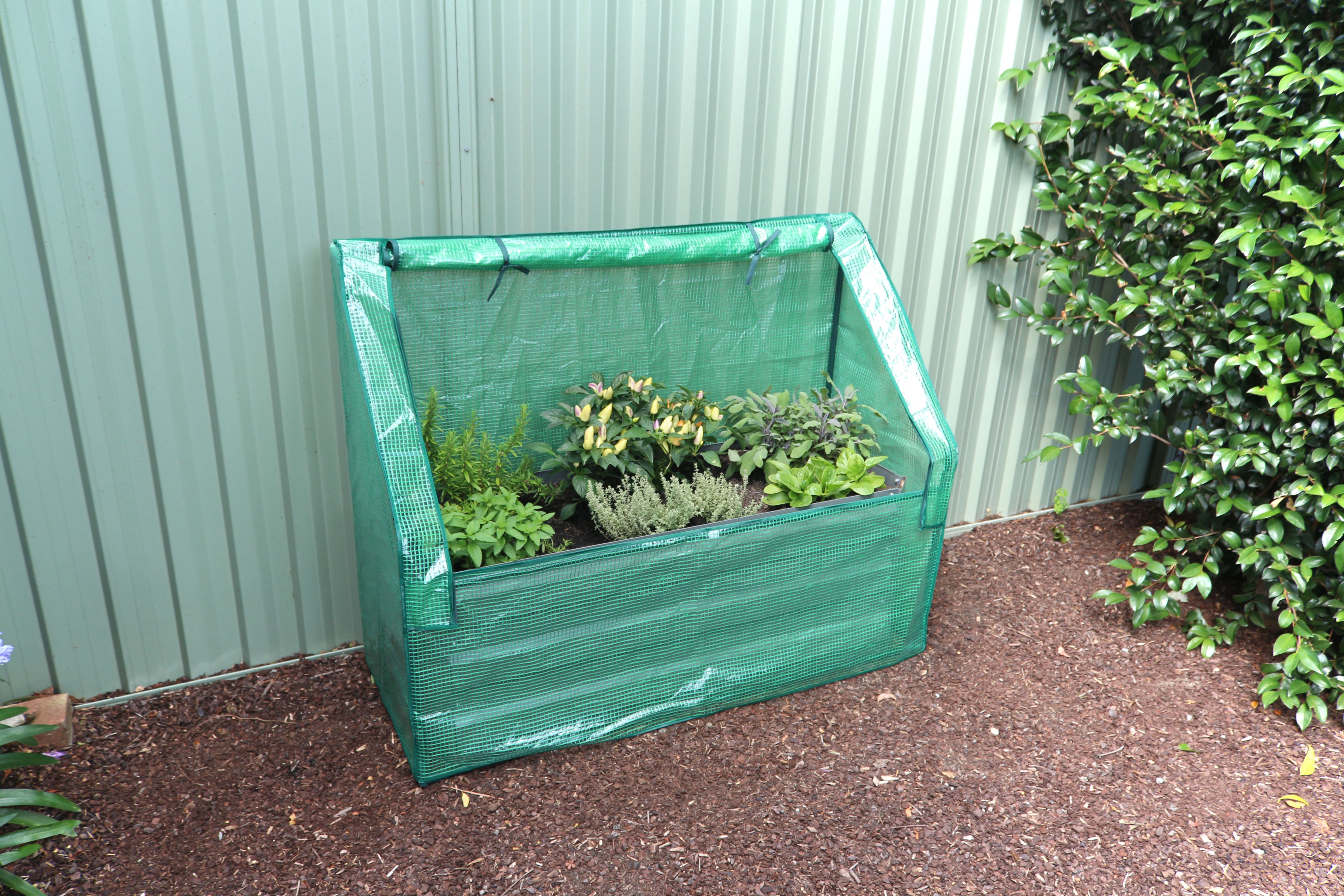 Image 4