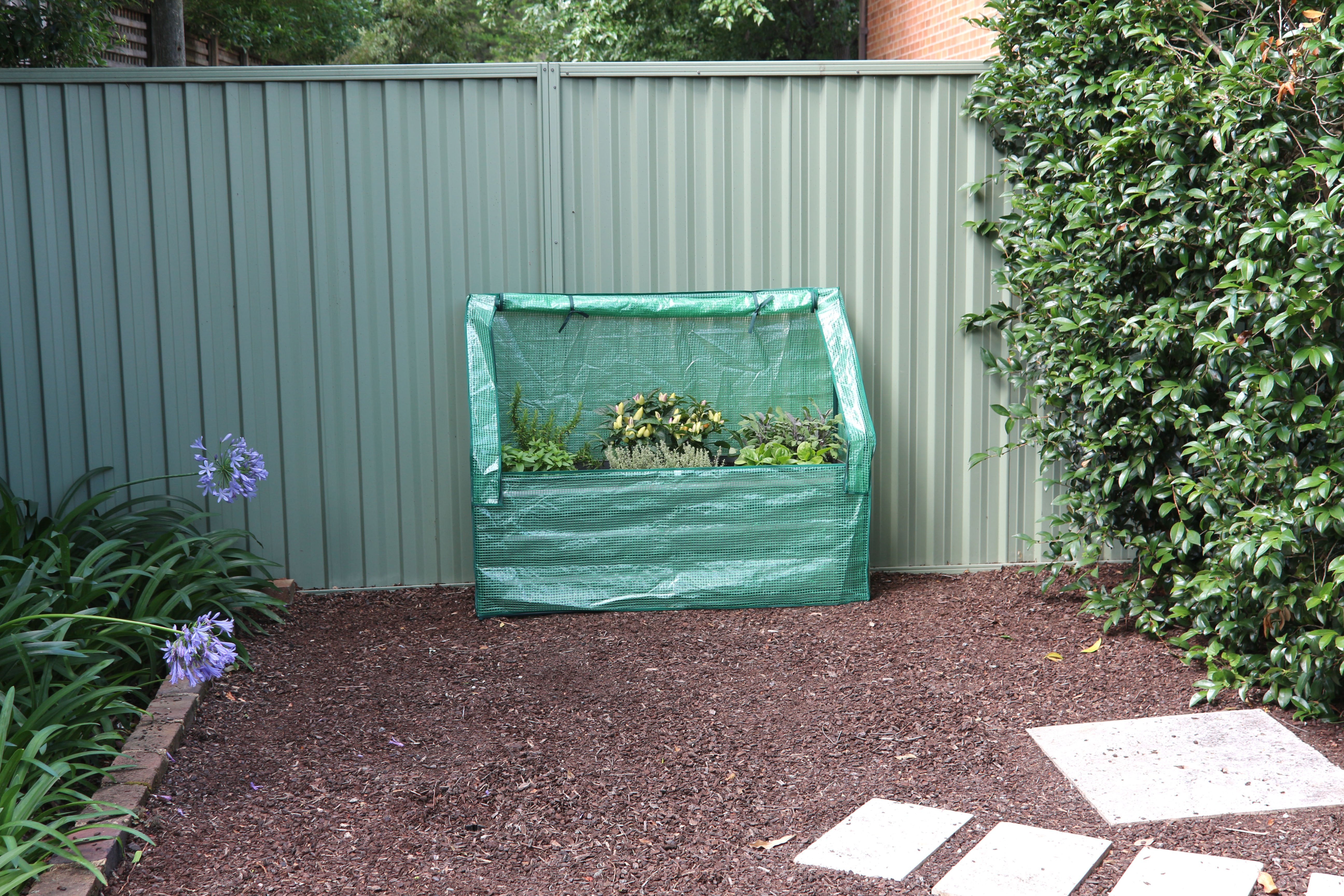 Image 5