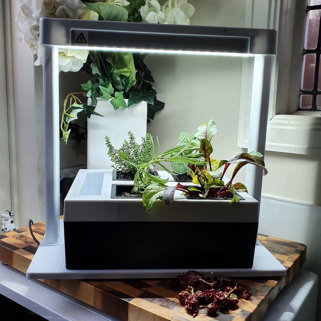 Image 5