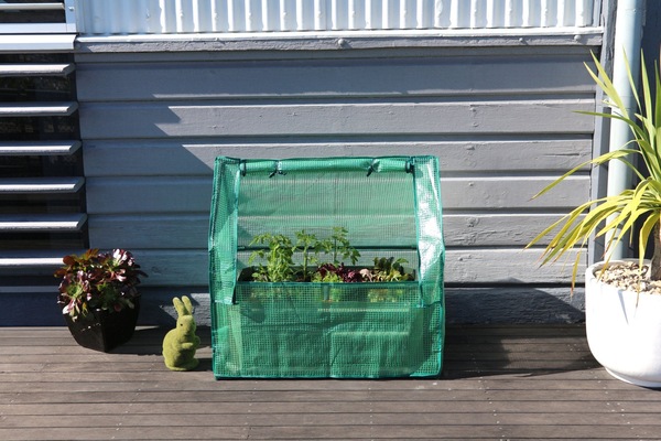 Image 11