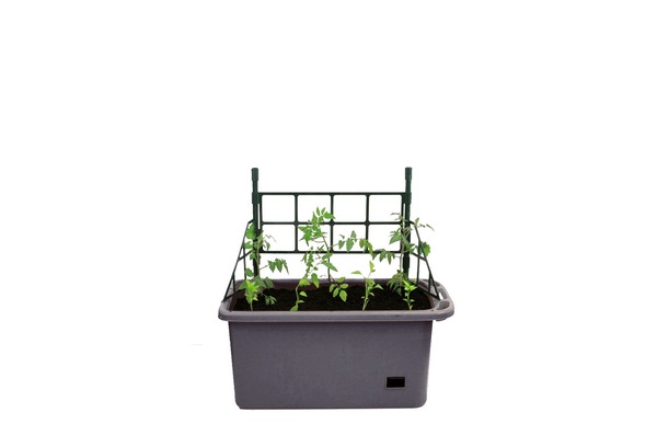 Image 5