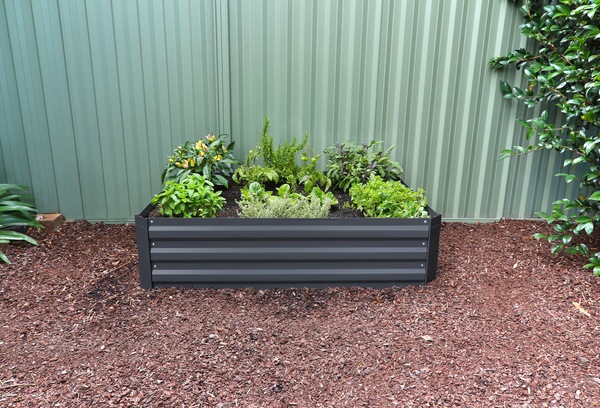 Image 7