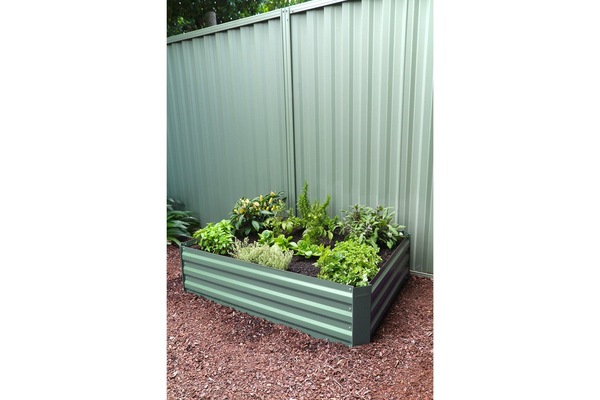 Image 4