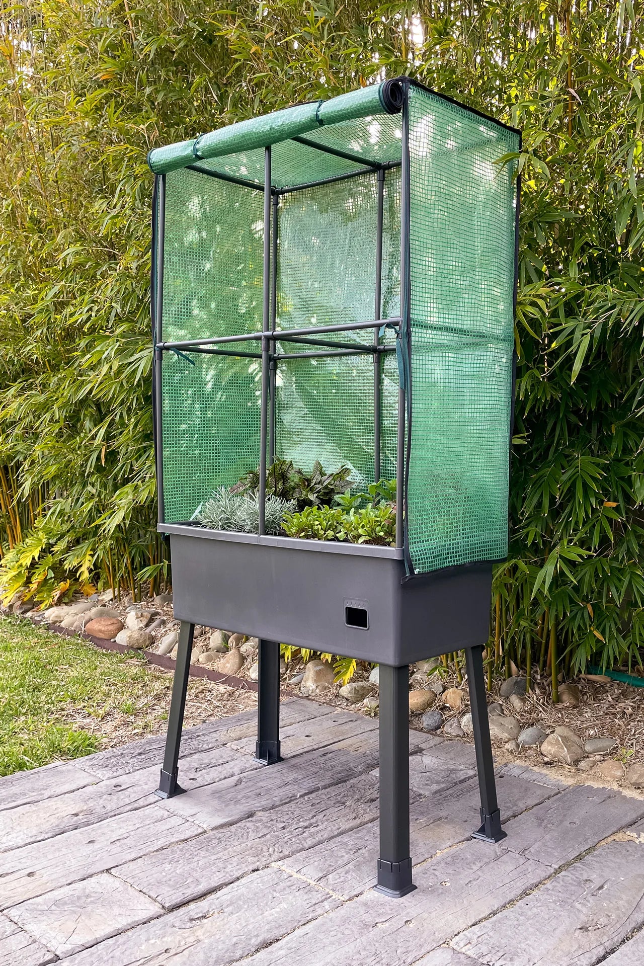 Image 2