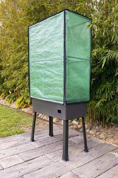 Image 4