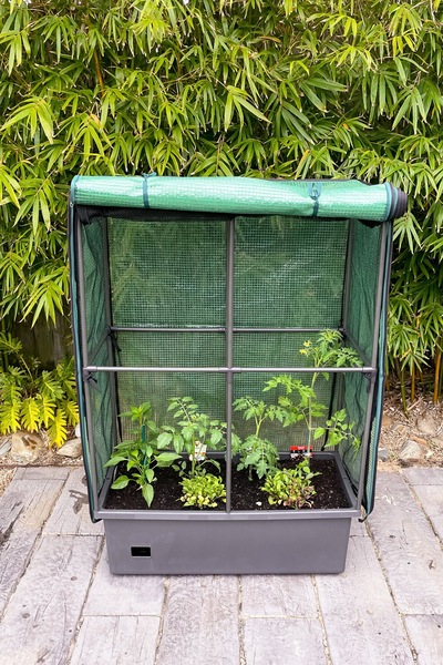 Image 7
