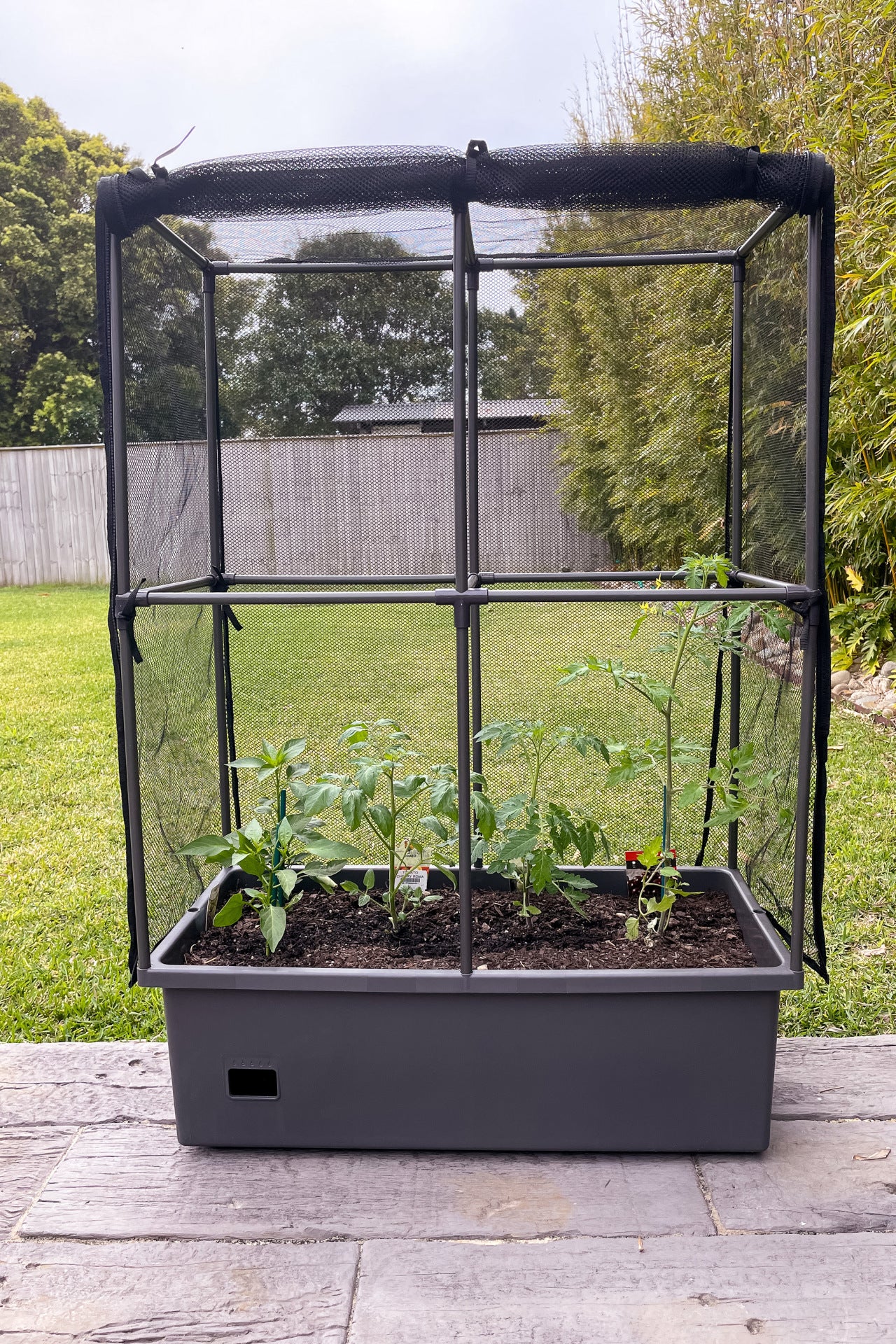 Image 12