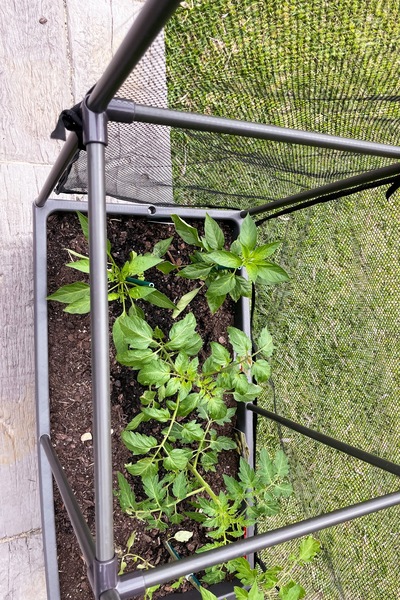 Image 14