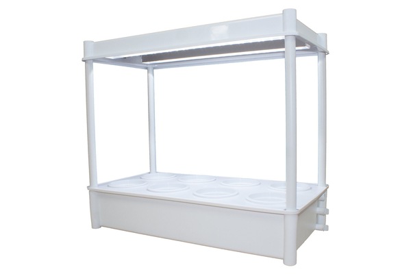 Image 4